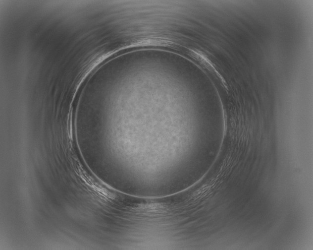 X0000052561276200507081626