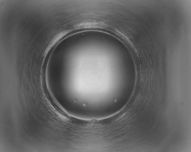 X0000052561277200507081626