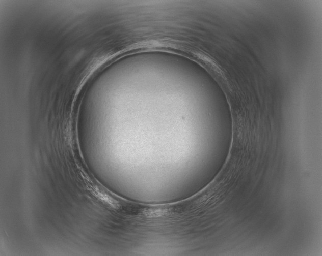 X0000052561278200507081626