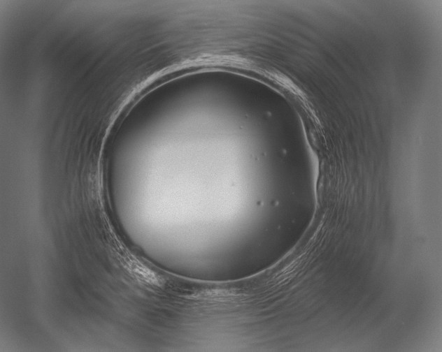 X0000052561280200507081626
