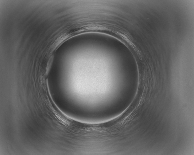 X0000052561281200507081626