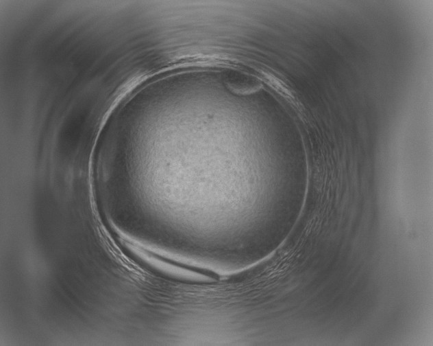 X0000052561283200507081626