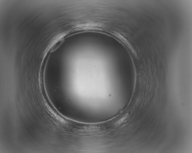 X0000052561285200507081626