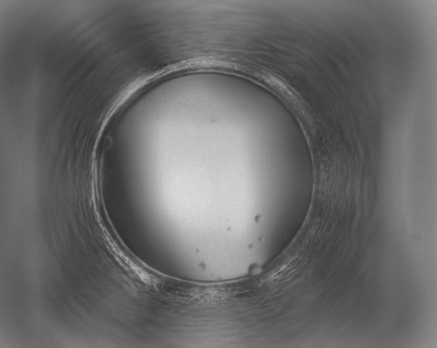 X0000052561286200507081626