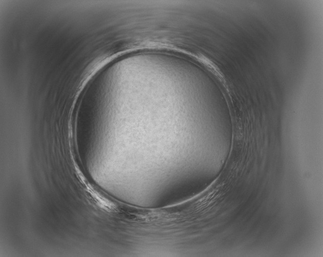 X0000052561287200507081626