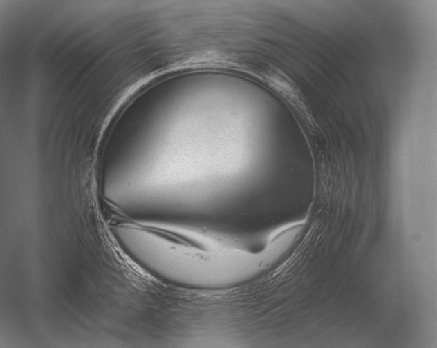 X0000052561288200507081626