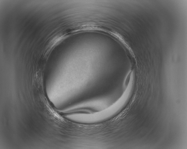 X0000052561289200507081626