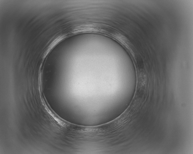 X0000052561290200507081626