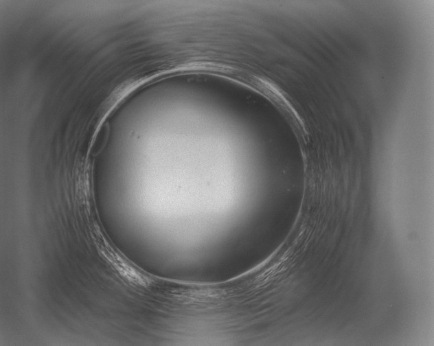 X0000052561292200507081626
