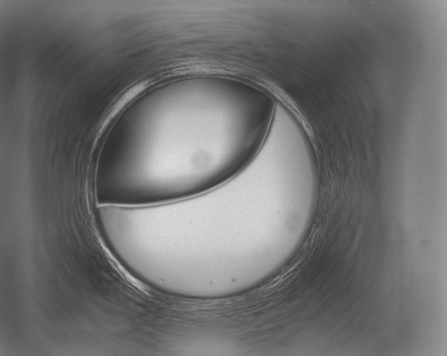 X0000052561293200507081626