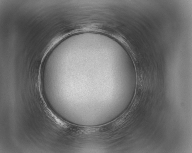 X0000052561294200507081626