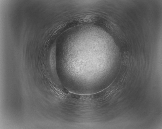X0000052561297200507081625