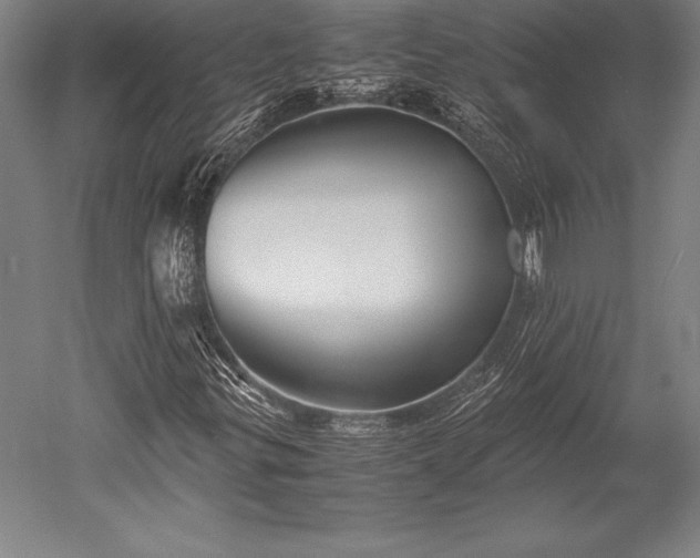 X0000052561299200507081625