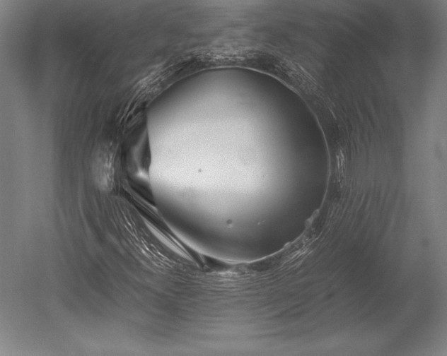 X0000052561300200507081625