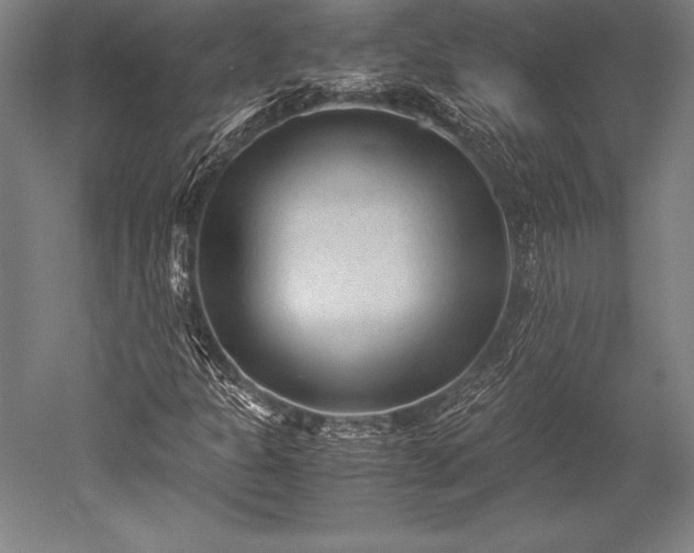 X0000052561301200507081625