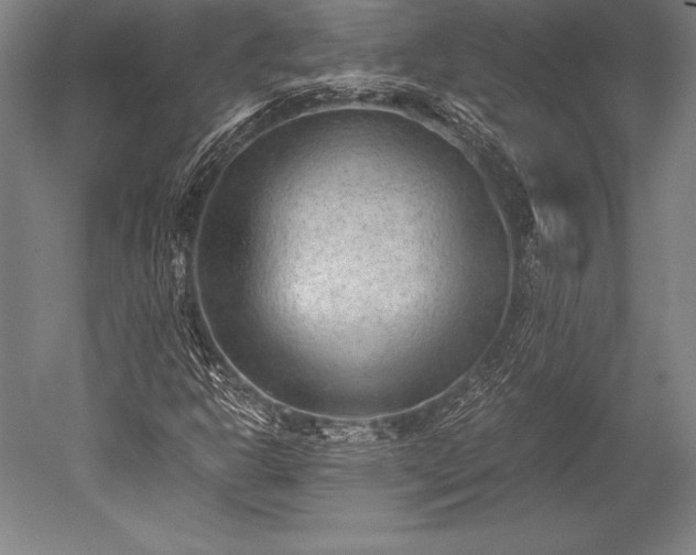 X0000052561302200507081625
