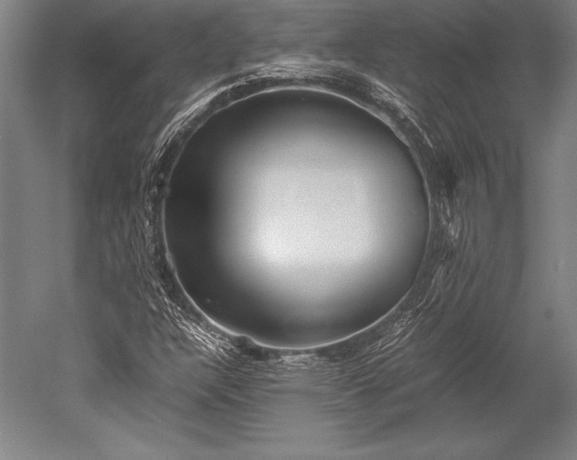 X0000052561304200507081625