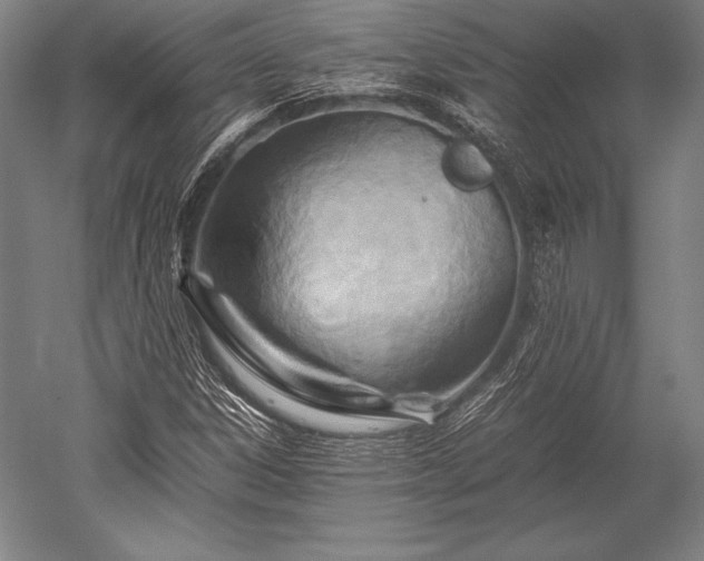 X0000052561306200507081625