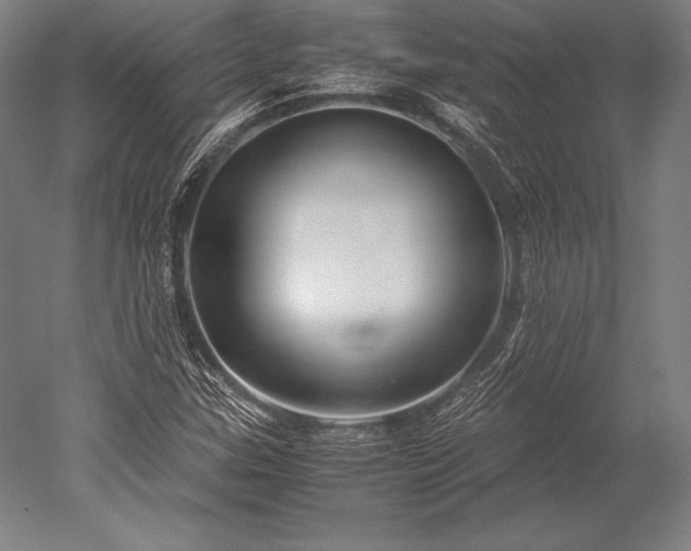 X0000052561307200507081625