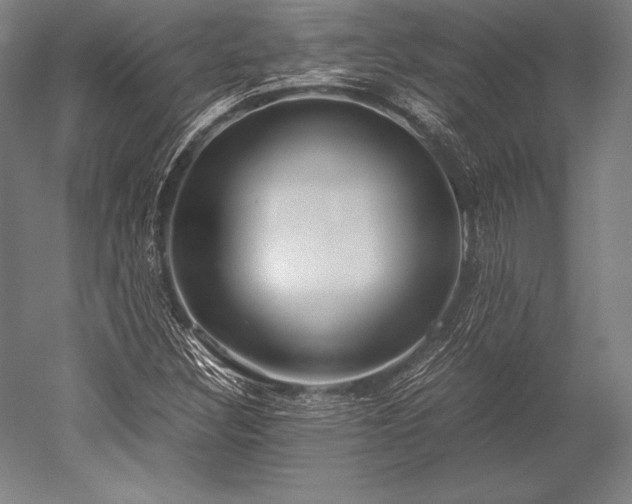 X0000052561308200507081625