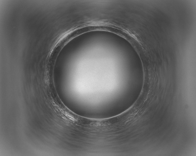 X0000052561311200507081625