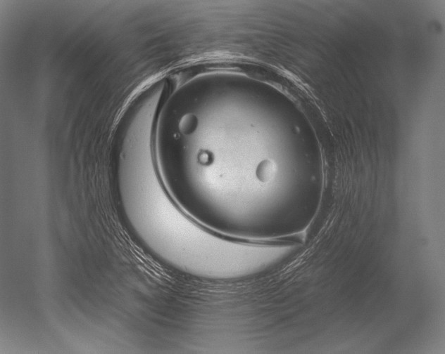 X0000052561314200507081625