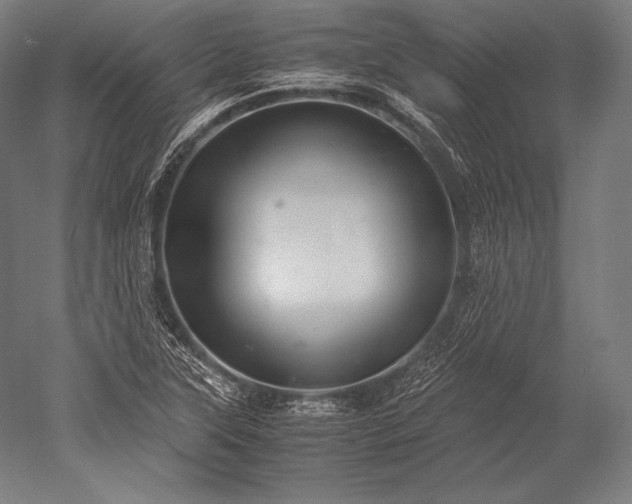 X0000052561315200507081625