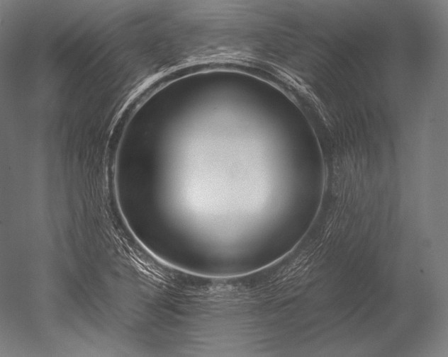 X0000052561316200507081625