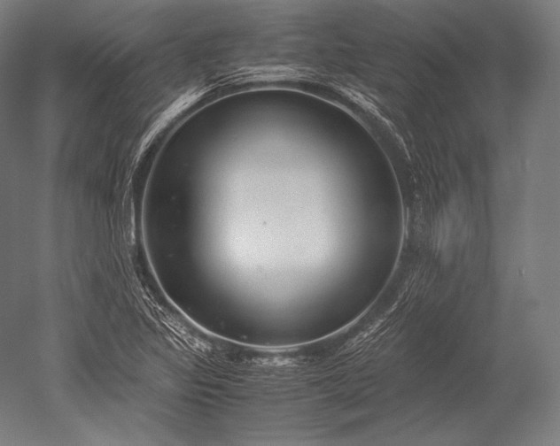 X0000052561317200507081625