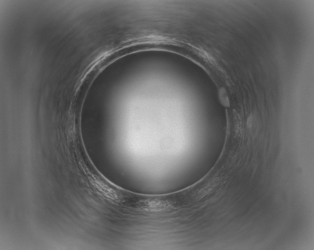 X0000052561318200507081625