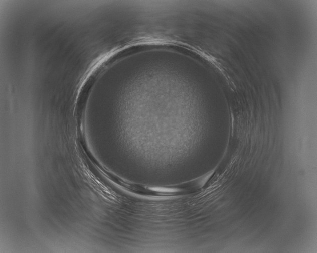 X0000052561319200507081625