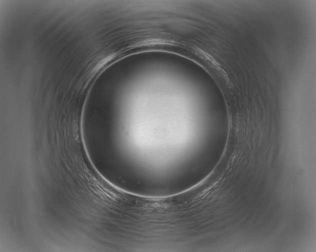 X0000052561321200507081625