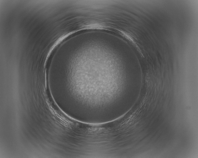 X0000052561323200507081625