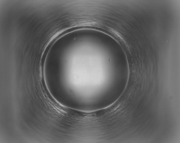 X0000052561324200507081625