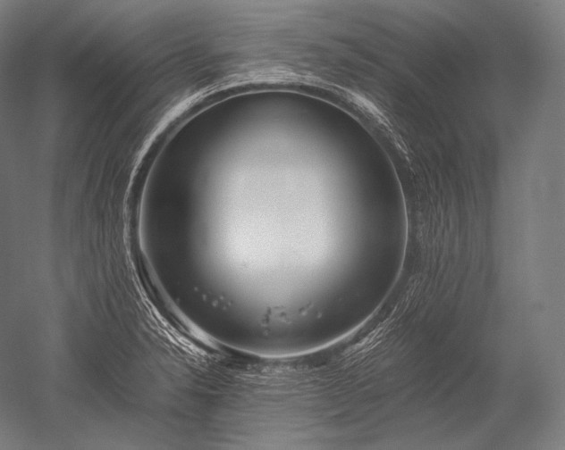 X0000052561326200507081625