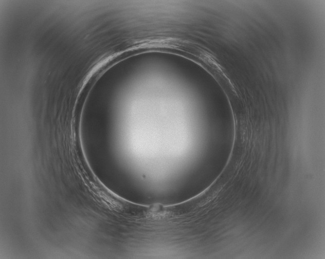 X0000052561328200507081625