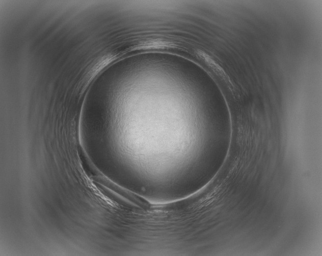 X0000052561329200507081625