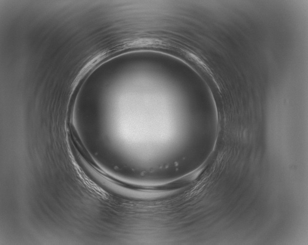 X0000052561330200507081625
