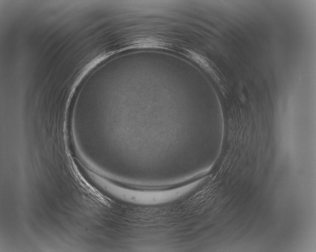 X0000052561331200507081625