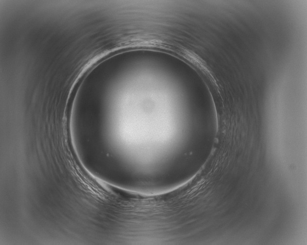 X0000052561332200507081625