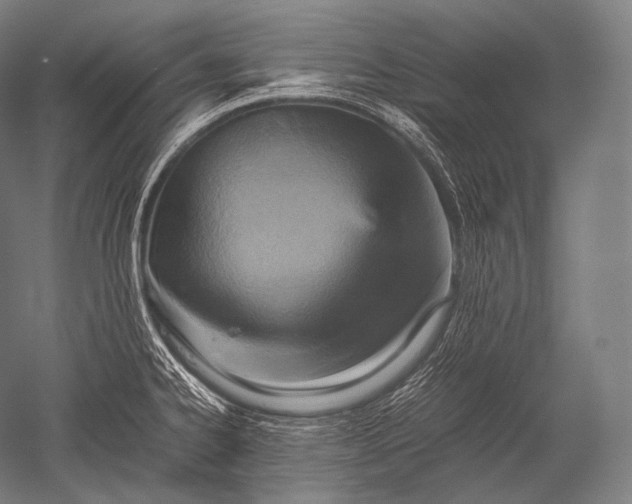 X0000052561334200507081625