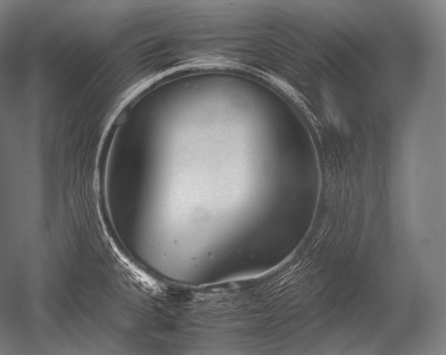 X0000052561335200507081625