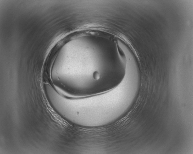 X0000052561336200507081625