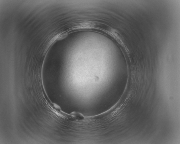 X0000052561337200507081625