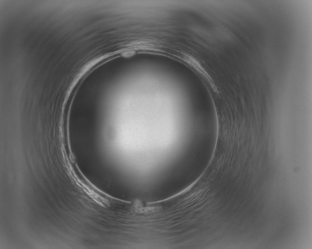 X0000052561339200507081626