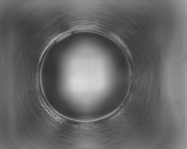 X0000052561340200507081626