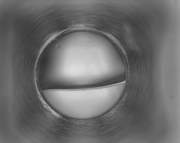 X0000052561341200507081626