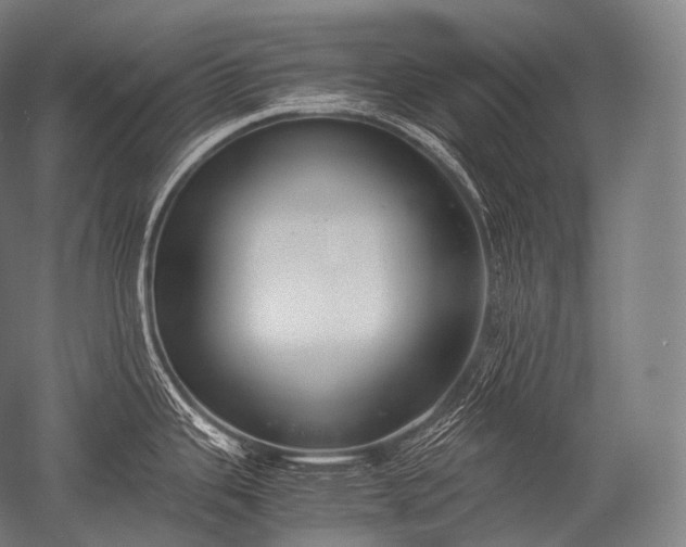 X0000052561343200507081626