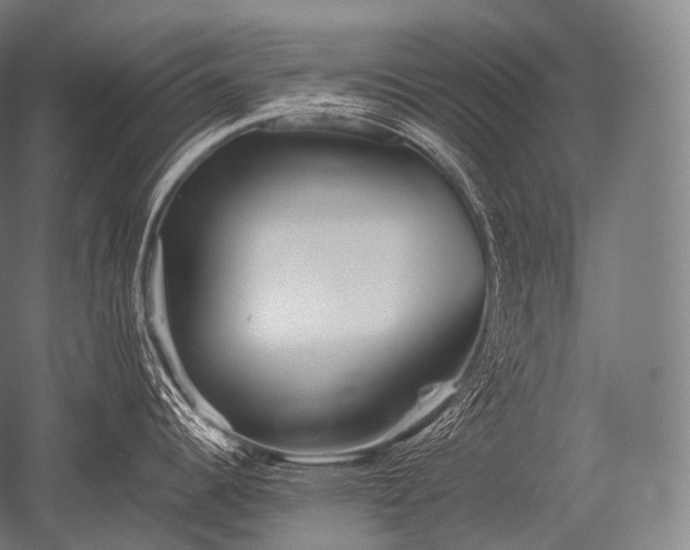 X0000052561344200507081626