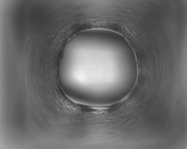 X0000052561345200507081625
